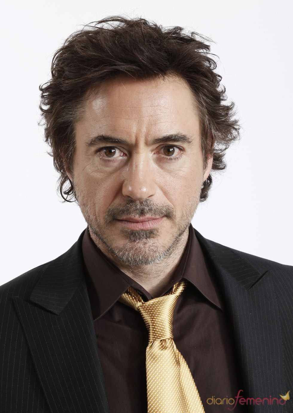 Robert Downey Jr