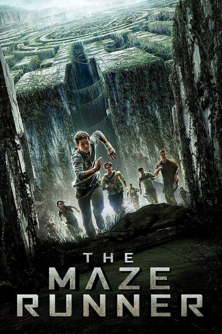 The Maze Runner